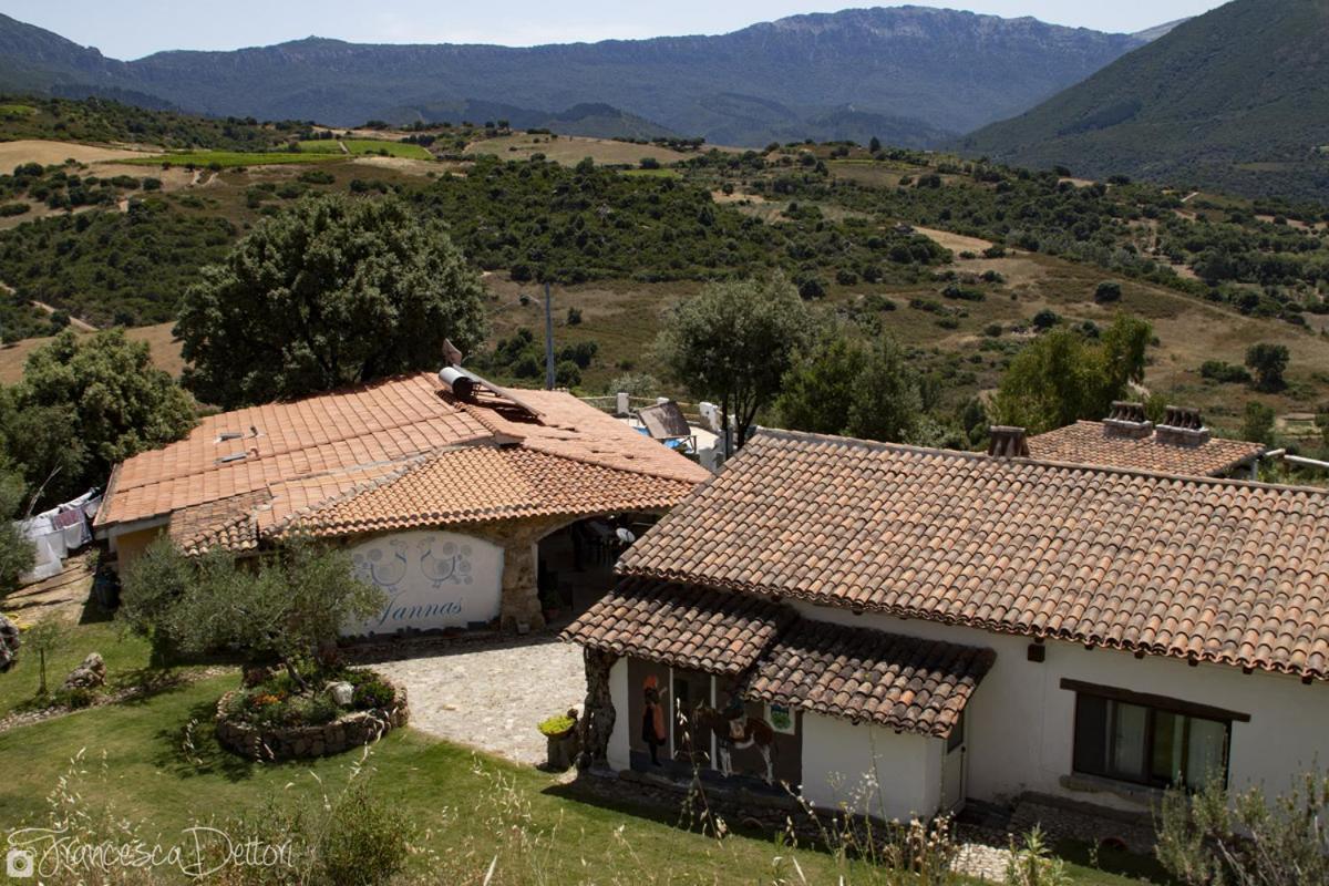 Affittcamere Jannas Orgosolo Exterior photo