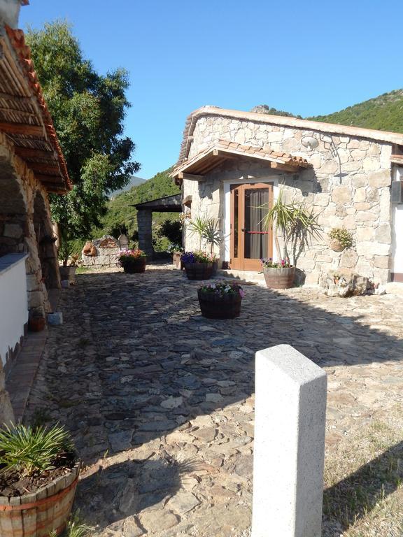 Affittcamere Jannas Orgosolo Exterior photo