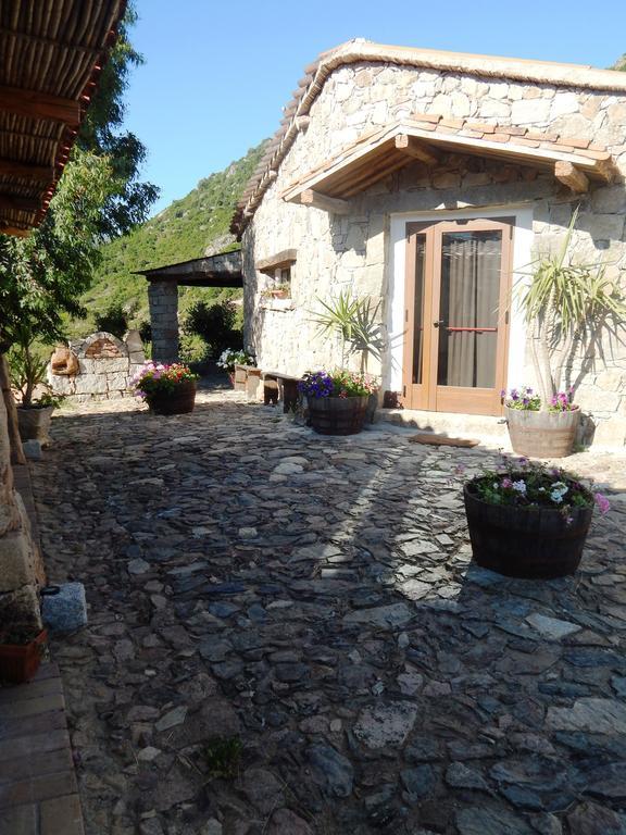 Affittcamere Jannas Orgosolo Exterior photo