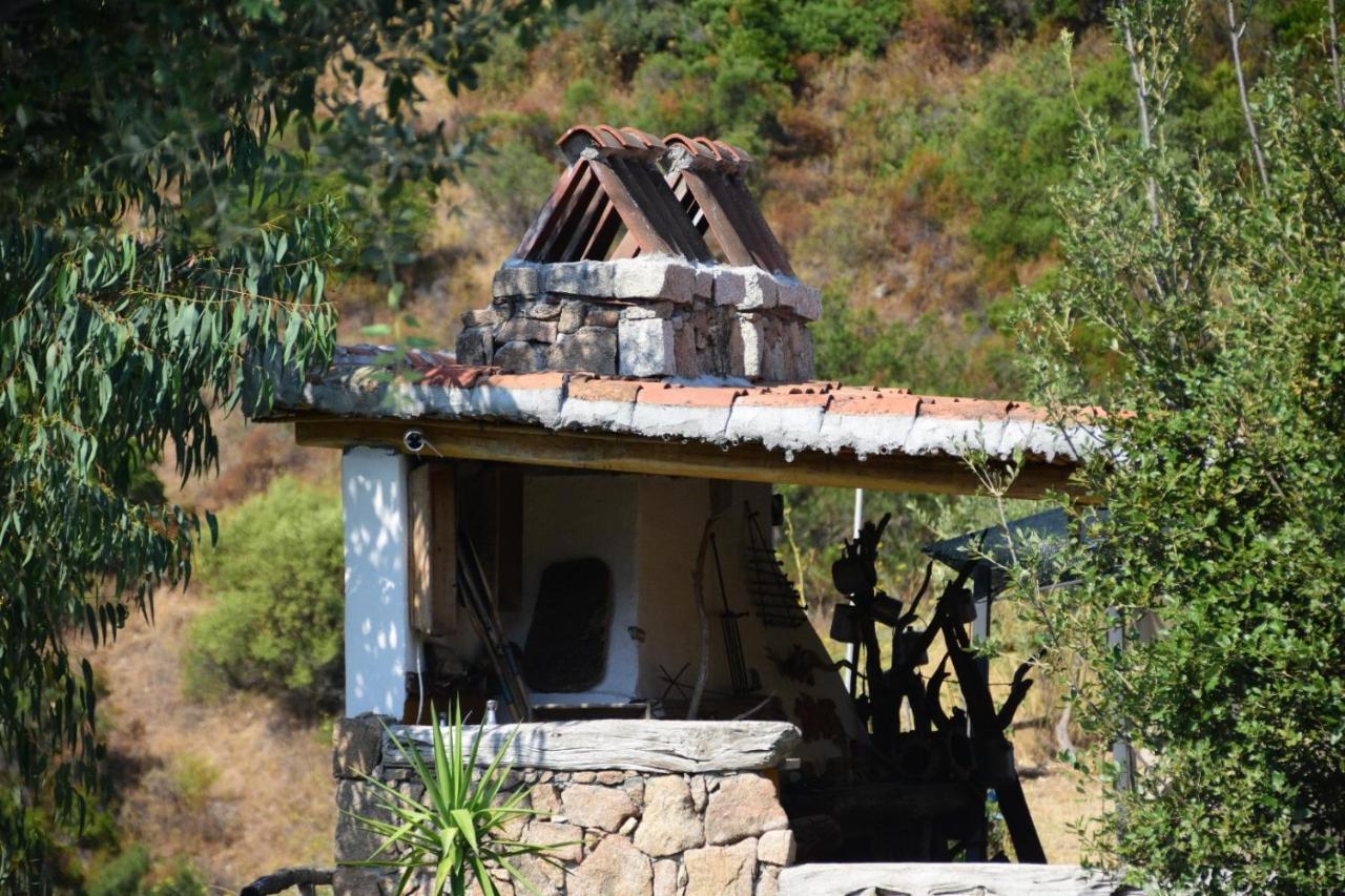 Affittcamere Jannas Orgosolo Exterior photo